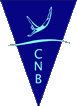Club organitzador